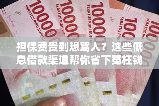 济南担保费贵到想骂人？这些低息借款渠道帮你省下冤枉钱
