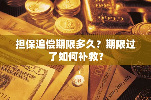 济南担保追偿期限多久？期限过了如何补救？